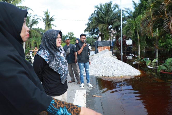 
					Bupati Afni Tinjau Pusat Banjir Mengkapan, Siapkan Solusi Jangka Panjang
