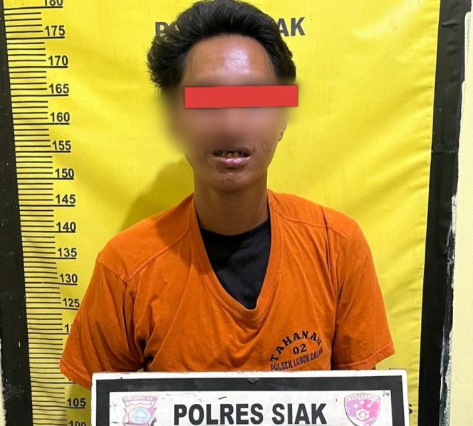 
					Pria di Siak Cabuli Bocah 7 Tahun Di Kebun Sawit, Di Iming – Imingi Es Krim