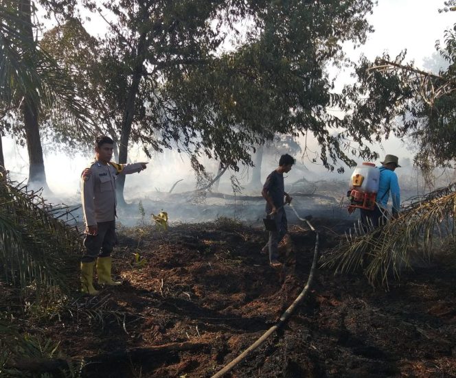 
					Gerak Cepat Polsek Bungaraya Berhasil Padamkan Karhutla di Kampung Benayah